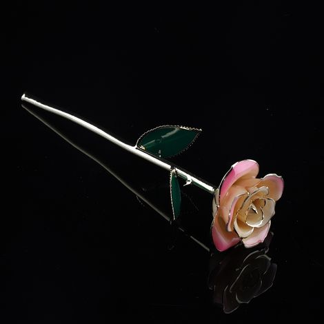 Rose éternelle plaquée or 24k sur tige longue avec support décoratif - Idéal cadeau anniversaire ou Saint-Valentin - Boîte cadeau incluse (Blanc et rose) (1/3)