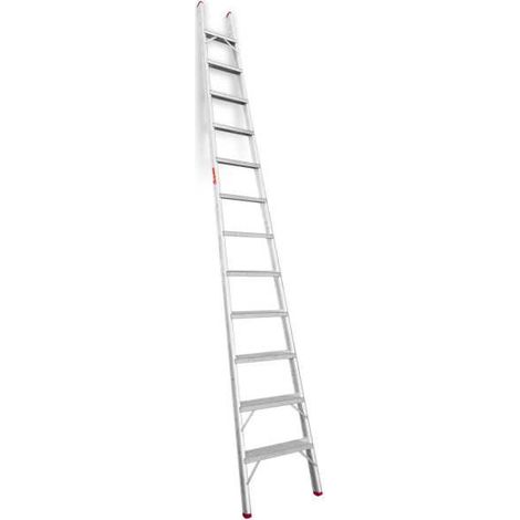 ESCALERA CONICA DE 1 TRAMO CON 10 PELDAÑOS PARA TRABAJOS AGRÃCOLAS. - FARAONE (1/4)