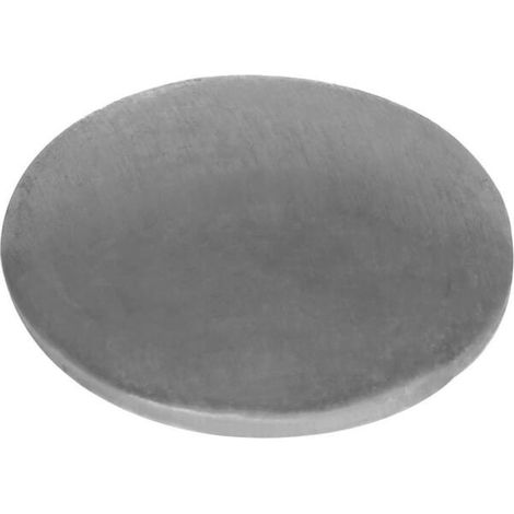 Plaquette BRIGGS ET STRATTON 699810