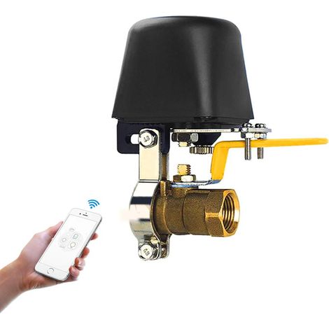 Valve intelligente d'eau/gaz, contrôle vocal/WiFi, valve intelligente sans fil compatible avec Alexa et Google pour cuisine/jardin/ferme (EU) (1/5)
