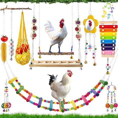 10 teiliges Hängespielzeug für den Hühnerstall Hühnerspielzeug Hühnerzubehör Hühnerschaukeln Hühnerleitern Pickspielzeug Lernspielzeug für Hühner (1/5)