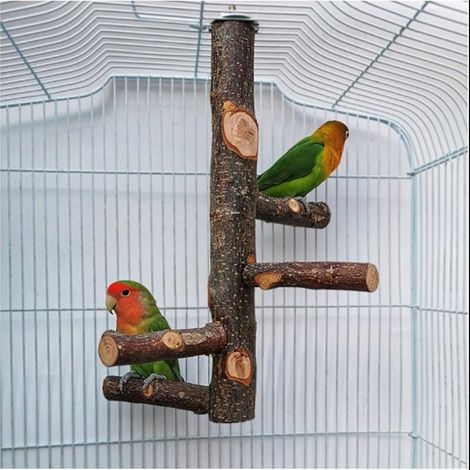 Cage Perch Toys for Parakeet Natural Wood for Small or Medium Cockatoo Lovebird Finch (1/5)