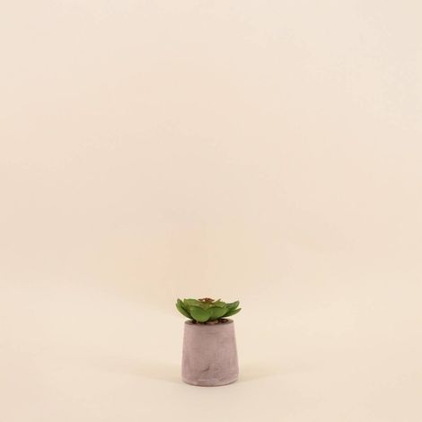 Plante artificielle pot ciment 8cm (1/4)