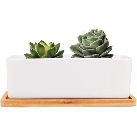 Pots de Fleurs Rectangulaires en Céramique Lot de 1 Pots de Plantes Succulents Céramiques Blanches avec Plateau en Bambou, avec Trou de Drainage, pour la Décoration de la Maison ou du Bureau (1/4)