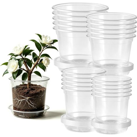 Lot de 20 Pots Transparents pour semis avec soucoupes (1/5)