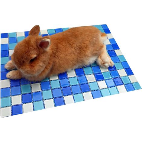 Coussin rafraîchissant pour lapin Coussin en verre léger Tapis rafraîchissant pour animal domestique Pour chiot âgé, cage de voiture, salon, chambre à coucher, maison, jeux à l'extérieur, dormir (1/5)