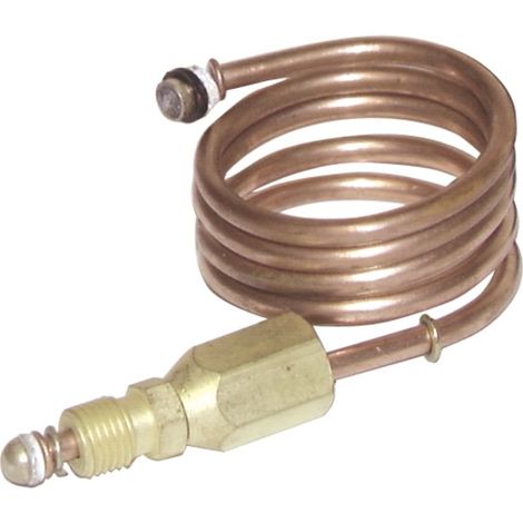 Alargador de termopar (L. 600 mm - conexión M9 x H9) - SIT : 0 218 101 (1/2)