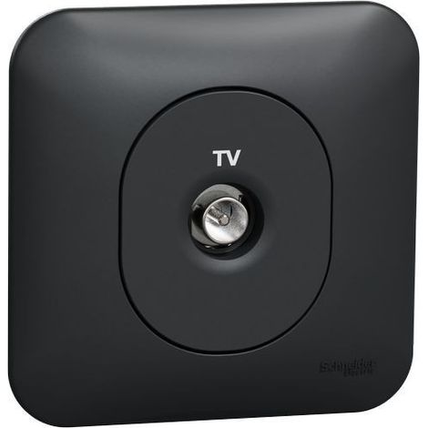 Ovalis - prise TV simple - fixation avec griffes Avec plaque -Anthracite (S465405)