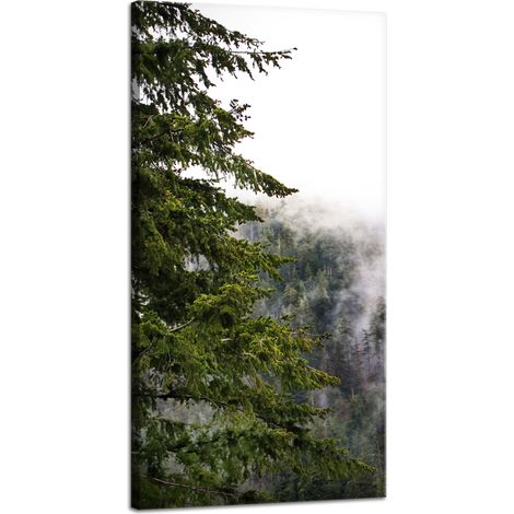 Impression sur toile Nature Montagnes Forêt brumeuse 40x80 cm