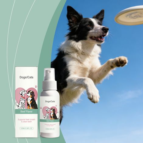Spray buccal pour chiens et chats, nettoyant la bouche, rafraîchissant l'haleine et protégeant les dents - 100 ml (1/5)