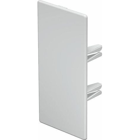 OBO Bettermann Vertr Endstück 60x130mm WDK HE60130RW (1/5)