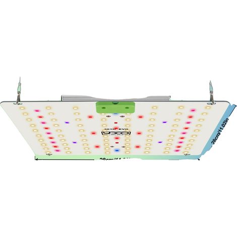 Lámpara LED de cultivo, espectro completo, brillo ajustable, 85 W LM301H EVO, EU-a (1/2)