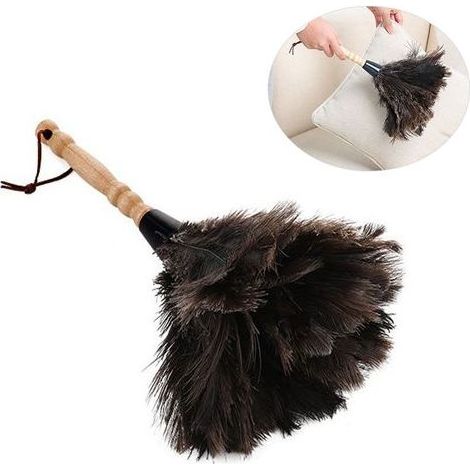 Brosse anti-statique en plumes d'animaux, douce et dépoussiérante, avec manche en bois pour nettoyage délicat. (1/5)