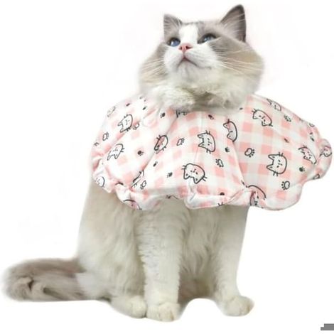 SABIR-Collier anti-léchage ajustable pour chat, collier souple pour chat, collier de protection ajustable pour chat après une intervention chirurgicale PZCC (1/4)