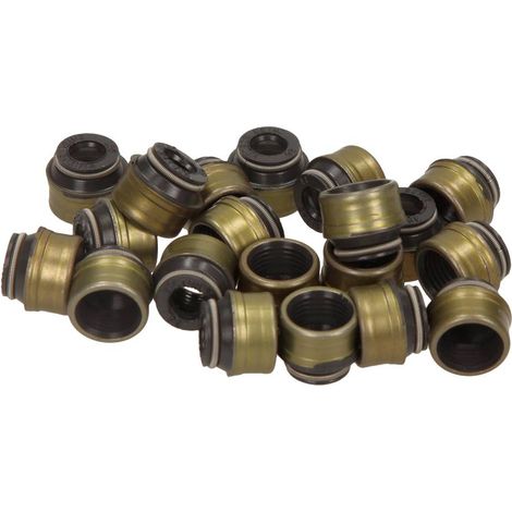 KIT DE JOINTS DE QUEUE DE SOUPAPE VICTOR REINZ MERCEDES OM605