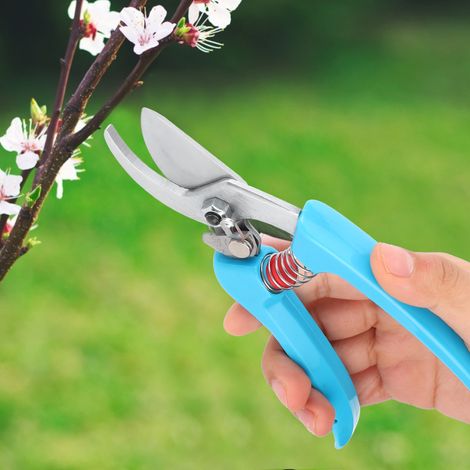 Sécateur manuel pour plantes et arbres, outil de jardinage (1/5)