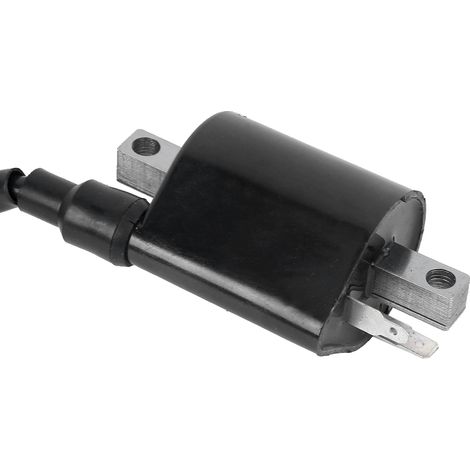 Bobine d'allumage pour Yamaha Virago 535 XV535 1987-2000 - Pièces Moto (1/5)