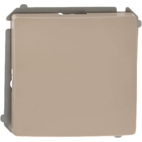 Simon Basic Einpoliger Schnellstecker, Beige BMW 1.01/12