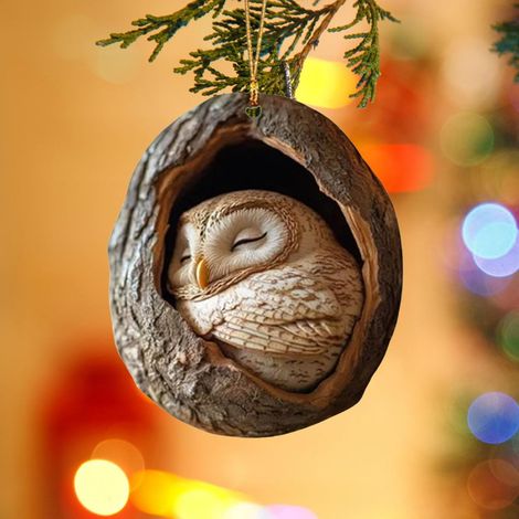 Decorazione natalizia in acrilico a forma di animale - Ornamento per albero di Natale - Ciondolo 2D - Gufo - Procione - Decorazione natalizia per soggiorno, camera da letto