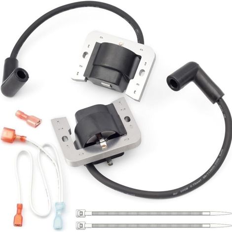 Bobina de encendido de 2 piezas para 32-707-01-S 25-707-03-S32 707 01 con cable (1/3)