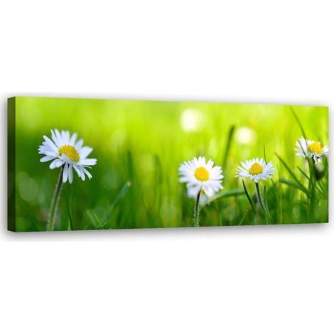 Cadre déco Fleur de l'oie Vert Herbe 90x30 (1/5)