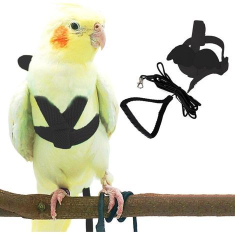 Pettorina e guinzaglio per pappagalli - Regolabili - Design anti-morso - Corda in nylon con simpatiche ali di pappagallo - Adatti per ara scarlatte, ara nane e uccelli simili (1/4)