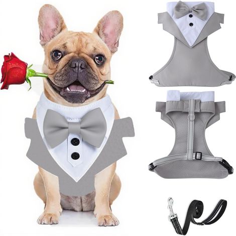 Harnais de smoking avec laisse pour chien – Gilet formel avec nœud – Harnais de mariage réglable pour chiot et chien de petite et moyenne taille L (gris) (1/5)