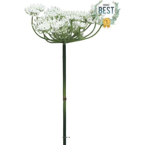 Fleur de carotte sauvage artificielle en tige, H 72 cm Crème - BEST - couleur: Crème (1/4)