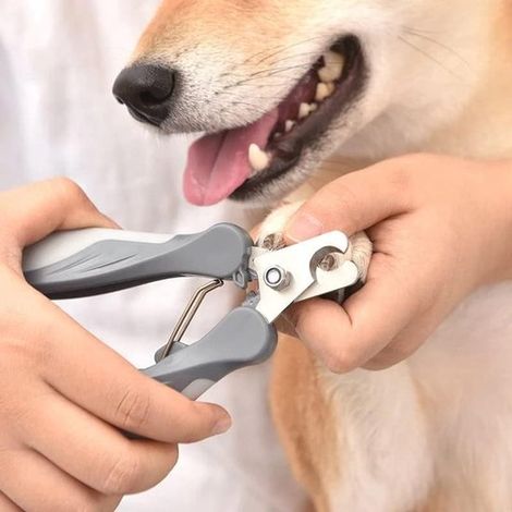 Cortauñas para mascotas, cortauñas para mascotas, cortauñas de acero inoxidable, cortauñas para gatos, cortauñas para perros (1/5)
