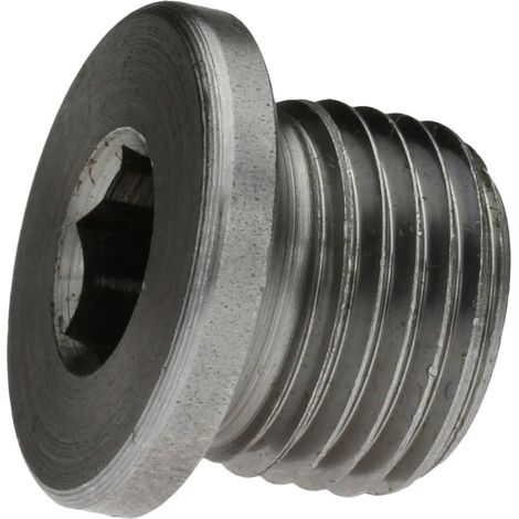 Reidl DIN 908 Verschlussschrauben mit Innensechskant u. Bund, zylindrisches Fein-Gewinde M 64 x 2 x 25, 5.8 blank