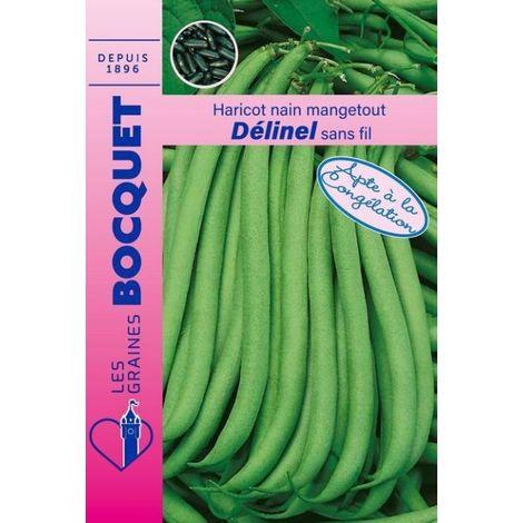 Haricot nain à filet Délinel - 80g