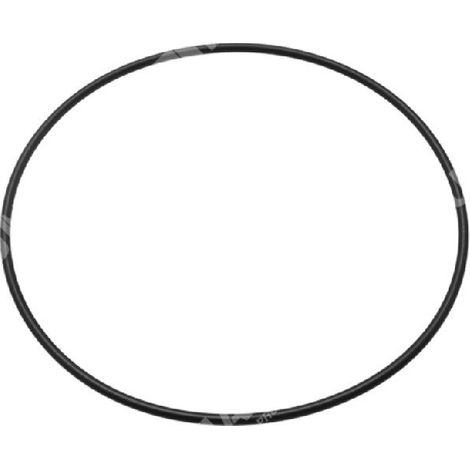 O-Ring für ELPUMPS COMPATIBLE Elektropumpen – 047196