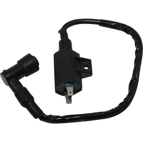 Bobine d'allumage de démarrage 21121-1160 21121-1198 pour quads Honda, Kawasaki et Subaru (1/5)
