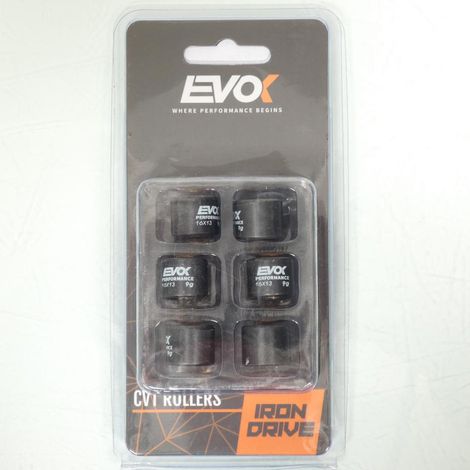 Variomatik-Rolle EVOK für Roller Suzuki 50 AH Address 16x13 9Grs (1/4)