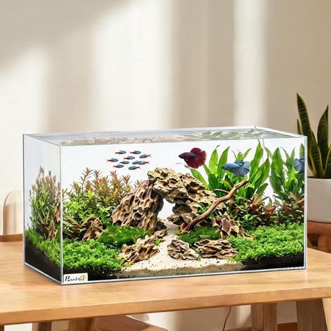 Aquarium 51 L en verre trempé 60 x 30 x 30 cm (1/5)