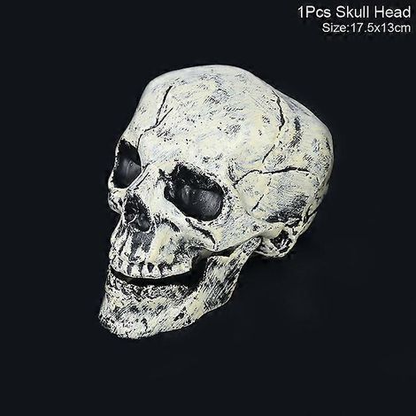 Accessoires de décoration d'Halloween : squelette factice, main, os, décoration pour fête d'Halloween en famille, extérieur, chambre secrète, décoration d'horreur, 1 tête de crâne