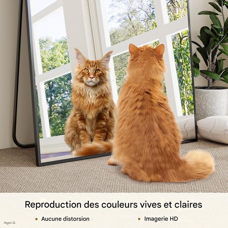 Koonmi Miroir sur pied pleine longueur, 180x76 cm, Corporel Robuste avec Cadre Aluminium, Miroir Mural Moderne à Poser ou Suspendre pour Salon, Chambre à Coucher, Design Minimaliste, Noir