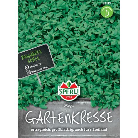 Sperli Gartenkresse Mega Großblättrig - Kräutersamen (1/3)
