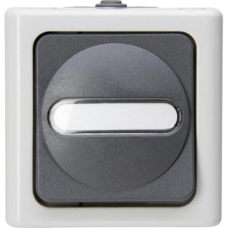 Kopp AP-FR AUS/WE-SCHALTER BEL. GR (560656006 BLUE ELEC) (1/5)