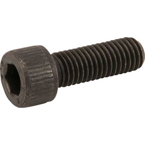 Schraube M10x30mm CARRARO CI021410