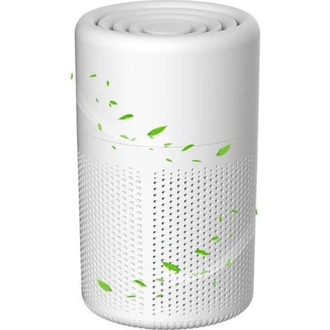 Purificateur d'air avec filtre HEPA H13, élimine le pollen et les poils d'animaux, silencieux et économe en énergie, 5 W, purificateur d'air ioniseur pour chambre, maison et bureau XXW (1/4)