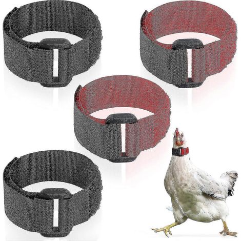 4 Stück Hahnhalsband, keine Krähe, verstellbares Hühnerhalsband, Anti-Haken-Hals-Nylongürtel, geräuschloses Nackenband für Haustierhühner (schwarz, rot) (1/5)