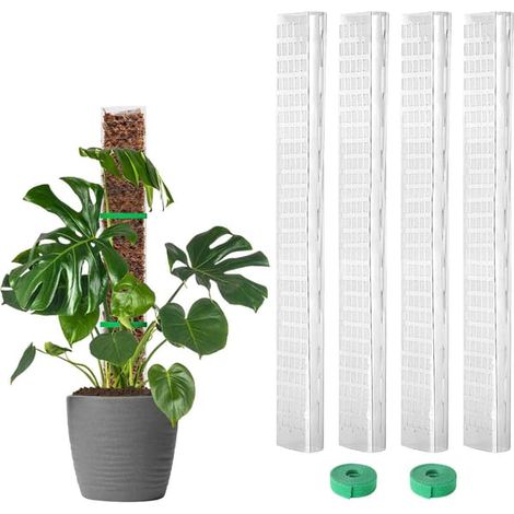 Tuteurs en plastique pour mousse - Tuteurs en forme de D de 61 cm (24 pouces) - Conviennent aux Monstera et aux plantes grimpantes - Avec sangles de jardin extensibles jusqu'à 229 cm (90 pouces). (1/5)