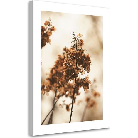 Tableau sur toile Fleur d'hortensia séchée 40x60 (1/5)