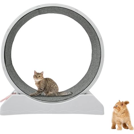 Laufrad für Katzen, für Indoor-Fitness, mit sicheren Spielfunktionen, GRAU (1/2)