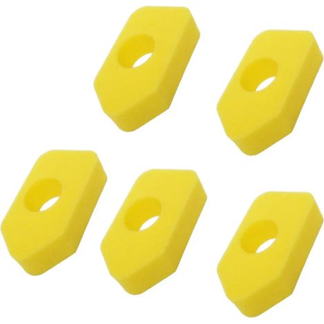 filtres air en mousse de type Paranuevo (1/5)