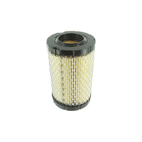 Filtre à Air Pour Moteur Briggs & Stratton, Séries 4145, 4155, 4165, 4175, 4185, 4195, 7160, 7180, 7200, 7220, 8240 Se Monte Su