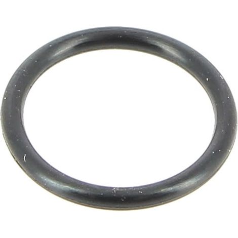 O-Ring 996500032659 für Bierzapfanlage philips