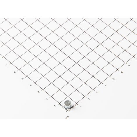 Magna-C Neodym Flachgreifer ohne Befestigung Ø6x4,5mm (1/5)
