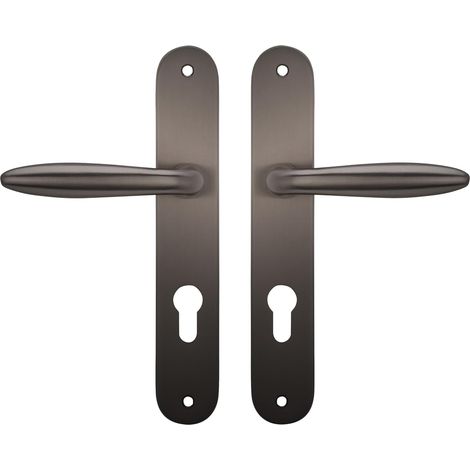 1 Paire - Poignées sur plaque - Zamak - Couleur Titane - Pour porte d&39entrée - Sans ressort de rappel - Symétrique - 225x38cm
